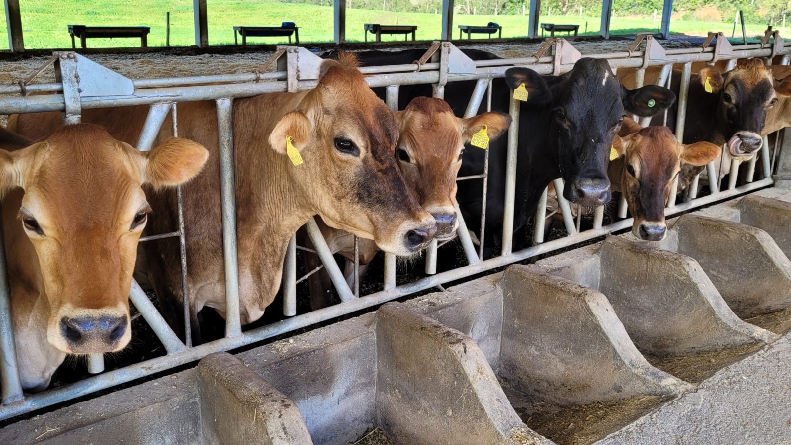 Bancada do agro pressiona Câmara contra fim da escala 6x1 e alerta para inflação 1 Agro questiona escala 6x1