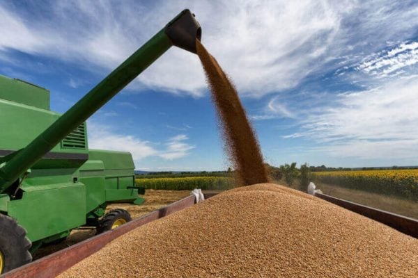 Produtores criticam juros altos do novo Plano Safra